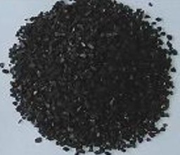 ****���w������������̿